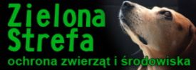 Zielona strefa