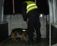 Policjant z psem służbowym sprawdzają wnętrze busa