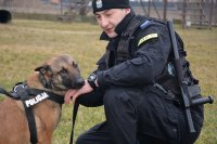 Policyjny pies służbowy z przewodnikiem