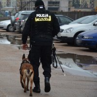 Policjant z policyjnym psem służbowym
