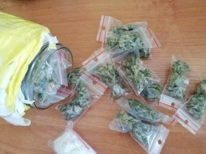 marihuana popakowana  w torebkach foliowych