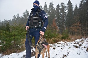 Policjant z psem służbowym w lesie