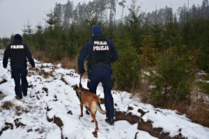 Policjanci z psem służbowym w lesie