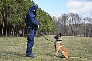 Policyjny pies służbowy z przewodnikiem