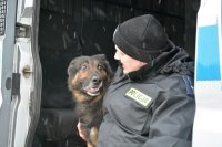 Pożegnanie policyjnego psa przed jednostką przez przewodników