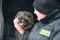 Pożegnanie policyjnego psa przed jednostką przez przewodników