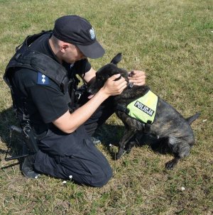 Policjant przewodnik z psem służbowym