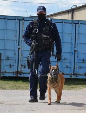 Policjant przewodnik z psem służbowym