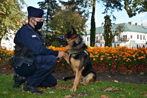 Przewodnik psa służbowego w umundurowaniu ćwiczebnym przykucnął obok psa służbowego w parku na tle klombu kwiatów, pies podaje łapę
