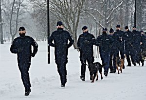 Grupa policjantów w umundurowaniu ćwiczebnym z psami służbowymi biegnie po terenie ośnieżonych suwalskich bulwarów