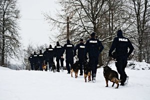 Grupa policjantów w umundurowaniu ćwiczebnym z psami służbowymi biegnie po terenie ośnieżonego Wigierskiego Parku Narodowego