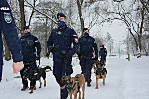 Grupa policjantów w umundurowaniu ćwiczebnym z psami służbowymi biegnie po terenie ośnieżonego parku