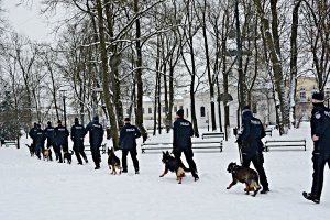 Grupa policjantów w umundurowaniu ćwiczebnym z psami służbowymi biegnie po terenie ośnieżonego parku