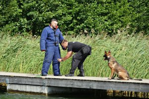 Szkolenie psów służbowych z łodzią służbową i pozorantem