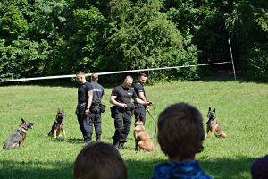 Policjanci na działaniach profilaktycznych, szkolenie psów służbowych