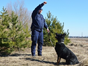 Policjanci w trakcie szkolenia z psami słuzbowymi