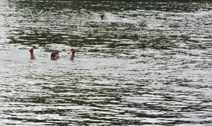 Dwóch mężczyzn topi się w wodzie