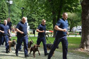 Policjanci wraz psami służbowymi biegną w parku