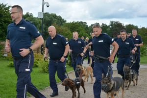 Policjanci biegnący wraz z psami służbowymi