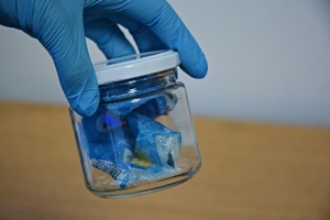 Dłoń w niebieskiej rękawiczce trzyma słoik z białą nakrętką, w środku którego jest zawiniątko