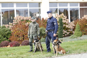 Policjant i kobieta w zielonym mundurze z psami