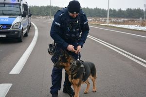 Policjant i pies słuzbowy