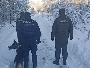 Policjanci i funkcjonariusze Straży Leśnej w zaśnieżonym lesie