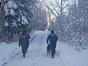 Policjanci i funkcjonariusze Straży Leśnej w zaśnieżonym lesie