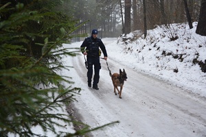Policjant z psem służbowym w zaśnieżonym lesie
