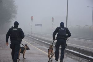 Policjanci z psami służbowymi w tle tory kolejowe