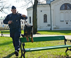 Policjant z psem służbowym w parku, pis skacze przez łąwkę