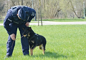 Policjant z psem służbowym w parku