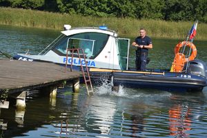 szkolenie psów służbowych na wodzie