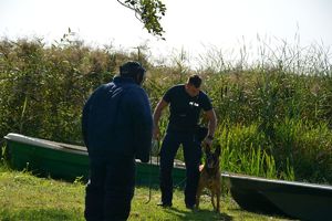 szkolenie psów służbowych na wodzie