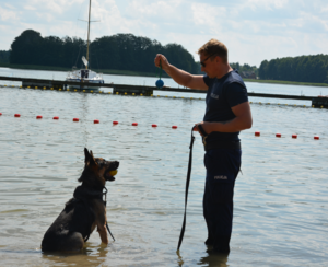 Szkolenie  policjantów z psem służbowym