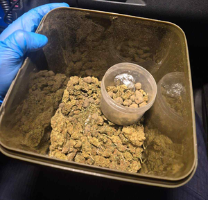susz roślinny- marihuana w pojemniku