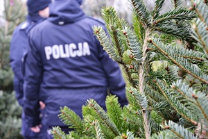 Policjanci i choinka