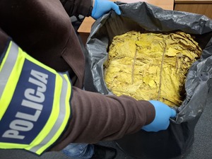 Policjant trzyma tytoń