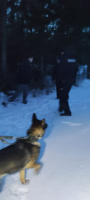 pies służbowy mężczyzna policjanci śnieg zima