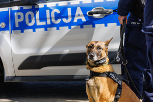 Ćwiczenia ewakuacyjne na obiekcie Suwałki Arena. Policjanci strażacy inne służby, udzielające pomocy.
