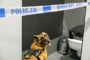 Ćwiczenia ewakuacyjne na obiekcie Suwałki Arena. Policjanci strażacy inne służby, udzielające pomocy.