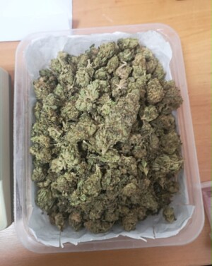susz roślinny marihuana