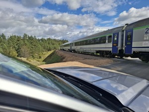 policjanci sprawdzający rejon torów kolejowych